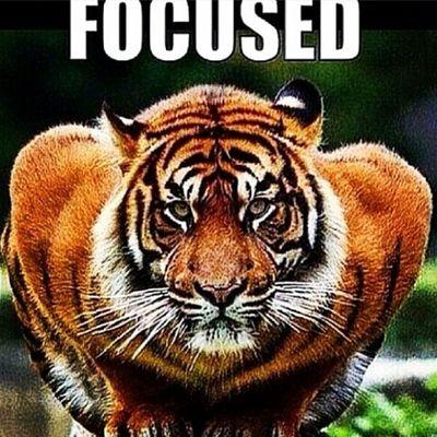 savannah TN 
HCHS for life 
tiger football #4