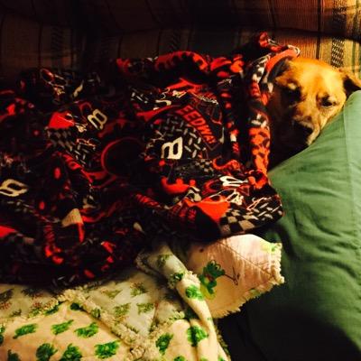 Jen42123's profile picture. WMU graduate▪momma to fur babies▪️love the outdoors▪️makeup junkie▪️younique presentor▪️want animal cruelty free makeup http://t.co/gYuWBS6k3l