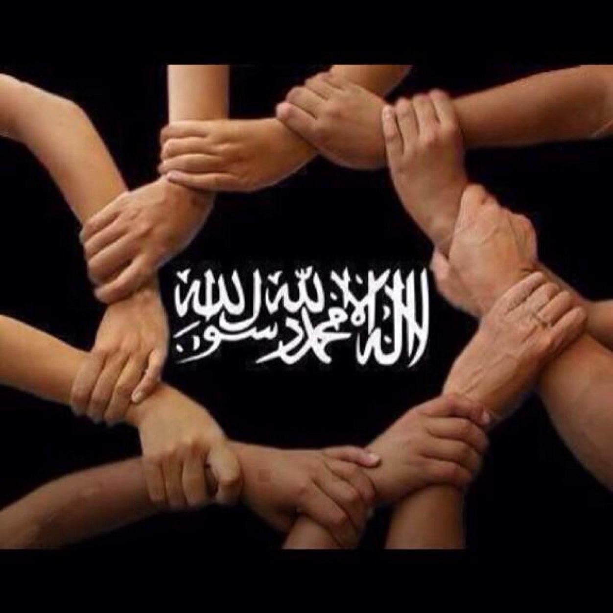سبحان الذي سخر لنا هذا وماكنا له مقرنين