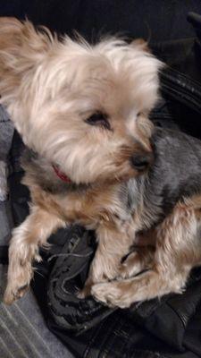 head_jodi's profile picture. Guitar Straps .  hand made . east village rocks !!!! LES