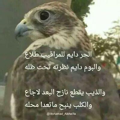 لتبادل 5/5 RT للكل ( لا أبادل التغريدات الغير لائقه). تابعني أتابعك خلال ٢٤ ساعه (الانفولو=بلوك على طول )