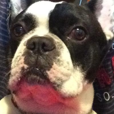 drecksan13's profile picture. 