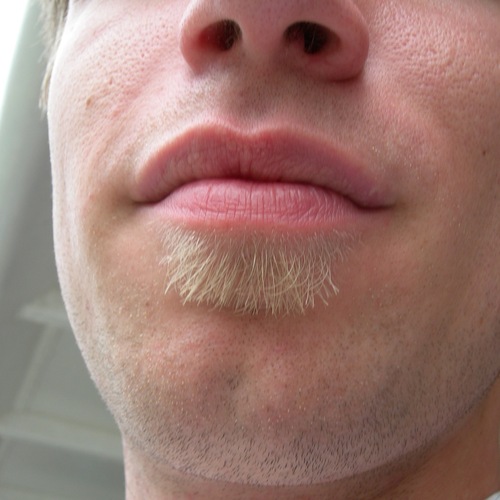 woodygenius Profile Picture