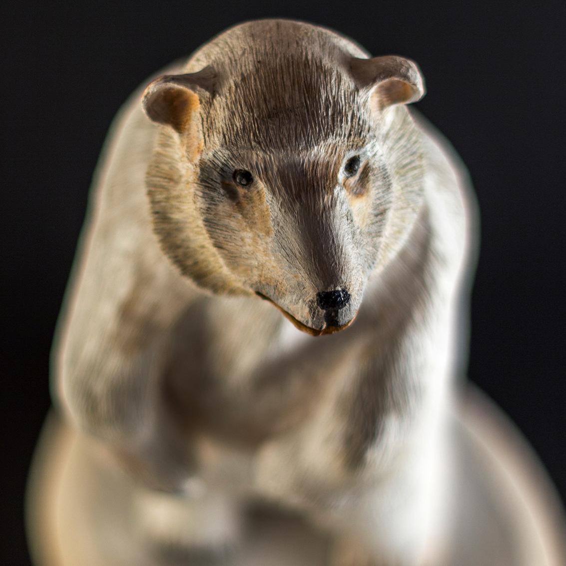 CliffNewman1's profile picture. 