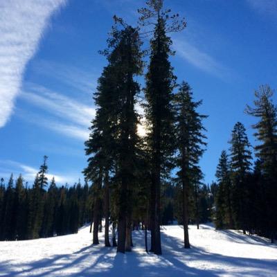 cbpnw's profile picture. 