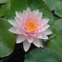 Isabelle Léger - @isabelleleger40 - Twitter