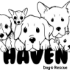 SafeHavenDogs's profile picture. Official Twitter account for Safe Haven Dog Rescue.