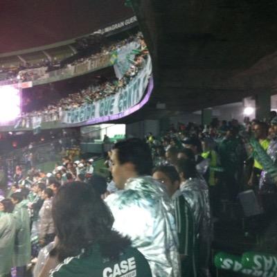 Palmeiras