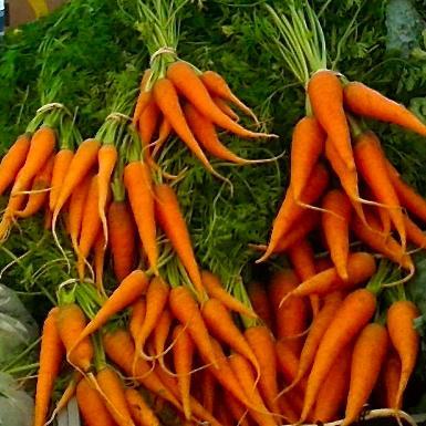 Carrots, Beets & Co