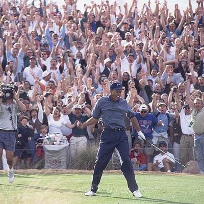 thetyhampel's profile picture. 