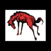 Laf Jeff Swim/Dive (@bronchoswimdive) Twitter profile photo