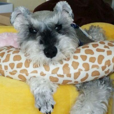 kumiko1016's profile picture. 