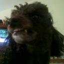 Michael Kroll - @Askani777 - Twitter