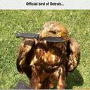 Tanner Marlow - @Tmars212 - Twitter