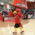 Coop Cardinal (@coopcardinal) Twitter profile photo