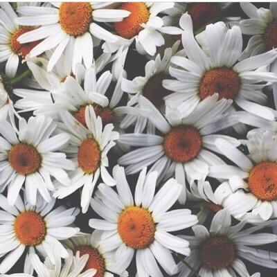 rehama32's profile picture. 