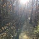 Chris Bledsoe - @wachbanker - Twitter