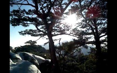 goodsign23's profile picture. 트위터에서 알게되고 스타벅스(카페베네,커피빈)에서  커피(쥬스,음료)를마시며 큐티를 하는..