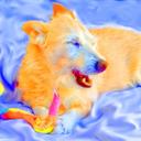 Michelle Callanan - @FluffyCallanan - Twitter