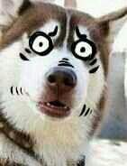 5VbppOHcCpLaWGR's profile picture. 放眼看世界