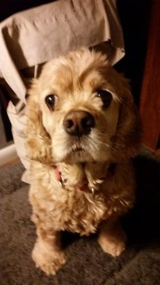 Yatata22's profile picture. 