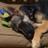 Schou4Sure's avatar