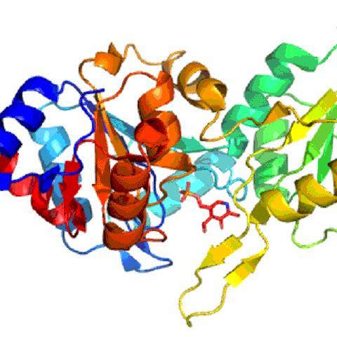 Proteomics News : http://t.co/MKkkgcg6PQ #proteomics #protein #science