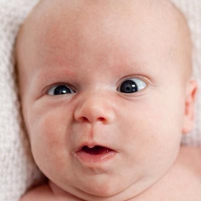 juanfoxracing2's profile picture. fox46