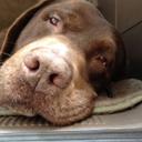 Maison Walker - @MaisonWalker - Twitter