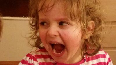 StudierVolker's profile picture. 