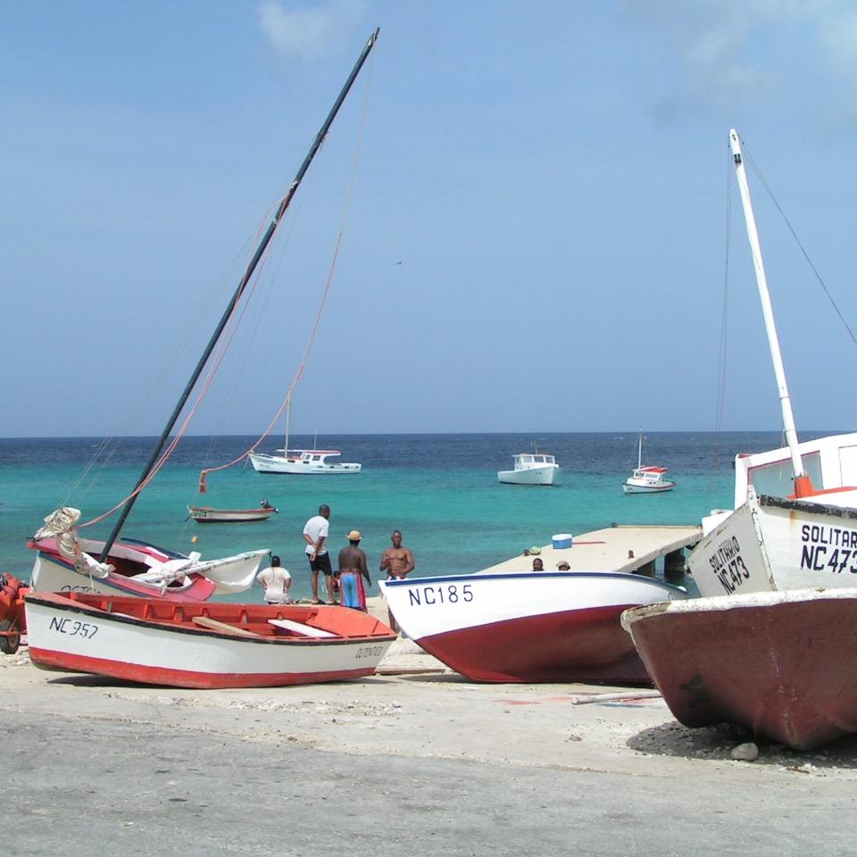 peterlauwers29's profile picture. (Personal account)