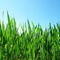 Endrizzi Contracting (@endrizzicont) 's Twitter Profile