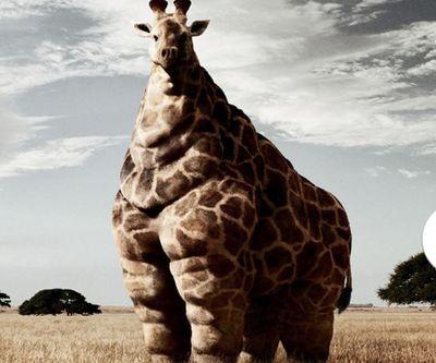 f048c62573da4b1's profile picture. 