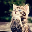 Beverly Holmes - @schoolgirl19563 - Twitter