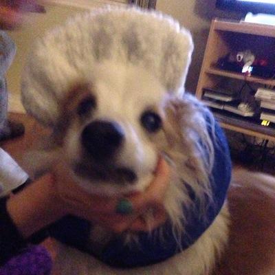 danimweber's profile picture. amazing chez