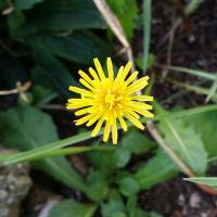 流水不爭先 (@mminkimm) 's Twitter Profile