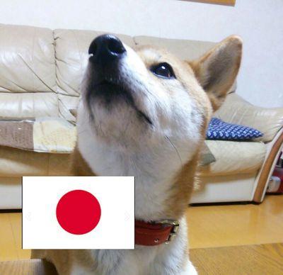 アコギ犬 よっ 日本男児 長渕師匠かっこいい 長渕剛 勇次 Arena Tour 10 11 Try Againより Http T Co Lmgegjzkfc