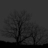 aloisnebelfilm's profile image