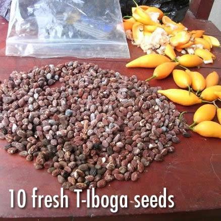 BIbogaine's profile picture. 