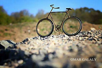 my nems wael
