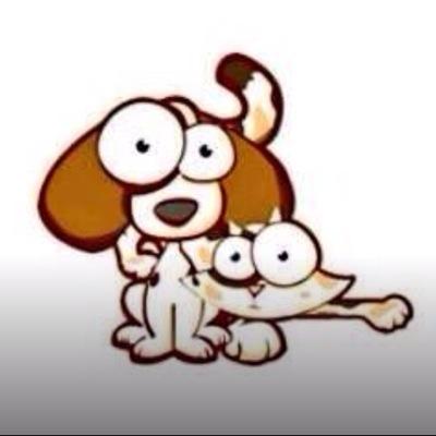Tienda online de productos para animales , para las dudas e información  info@demundodog .