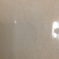 cp (@petschc) 's Twitter Profile
