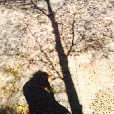 เป็นเงามันก็ดีนะ ใครจะทำอะไรมันก็ได้ แต่มันไม่เคยเจ็บเลย.
