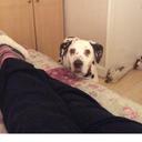 Pat Thomson - @patandthebsd - Twitter