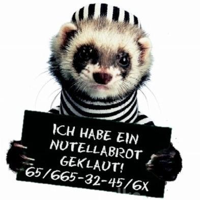 hier könnte ihre Werbung stehen ... #nurwergeilist