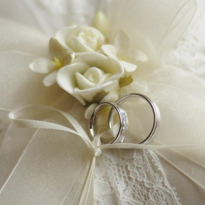 velenceieskuvo's profile picture. 