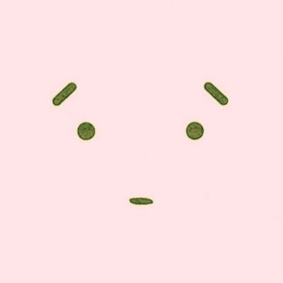 かかん of おとうふさんのプロフィール画像