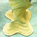 Alyson Burns - @BurnsAly - Twitter