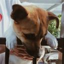 Will Tran - @IWillTweett - Twitter