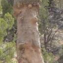 Richard Hahn - @richardthehahn - Twitter